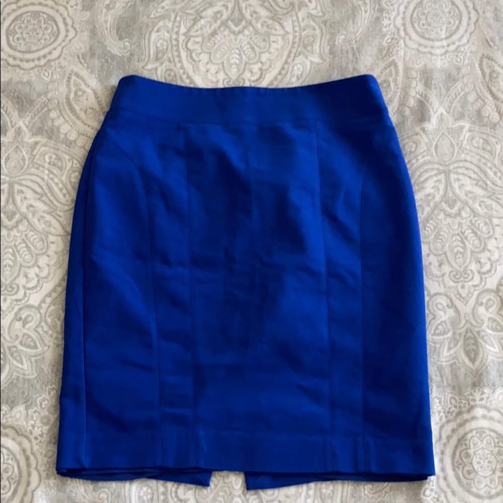 Express Pencil Skirt